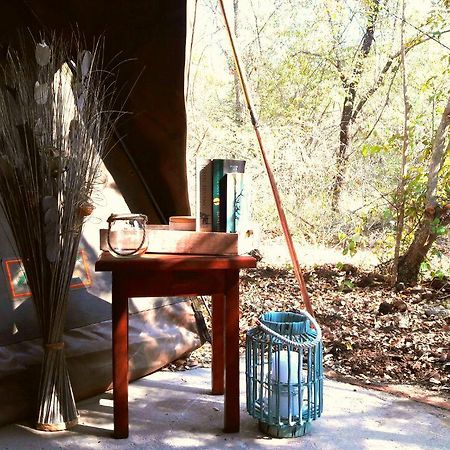 Beyond The Boma Boutique Guesthouse Marloth Park Dış mekan fotoğraf