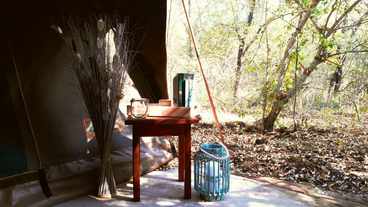 Beyond The Boma Boutique Guesthouse Marloth Park Dış mekan fotoğraf